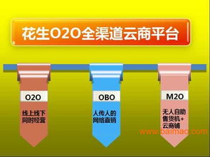 廣東F2C電商模式解決方案 專家指導、生產廠家合作與軟件開發價格解析